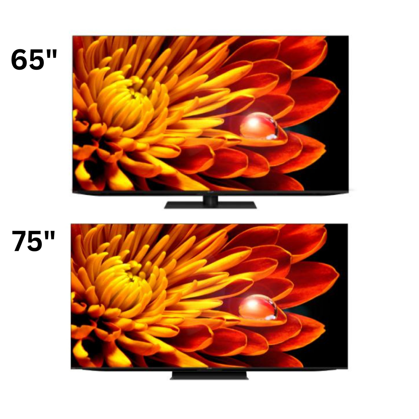 AQUOS XLED 4K UHD ( FV1 Series )