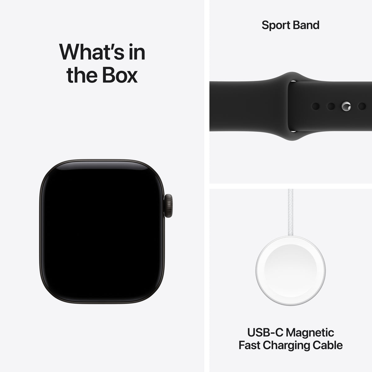 Apple Watch Series 12