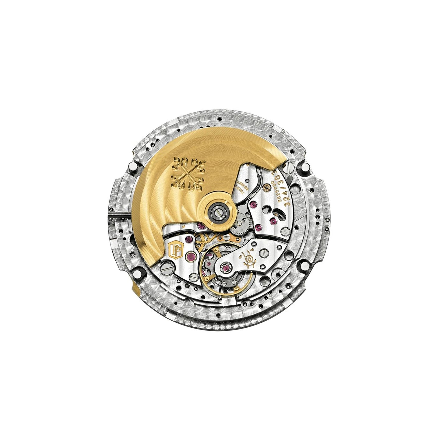 Nautilus Stainless Steel